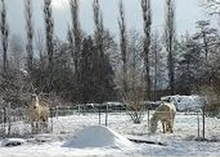 Le Clos Pré